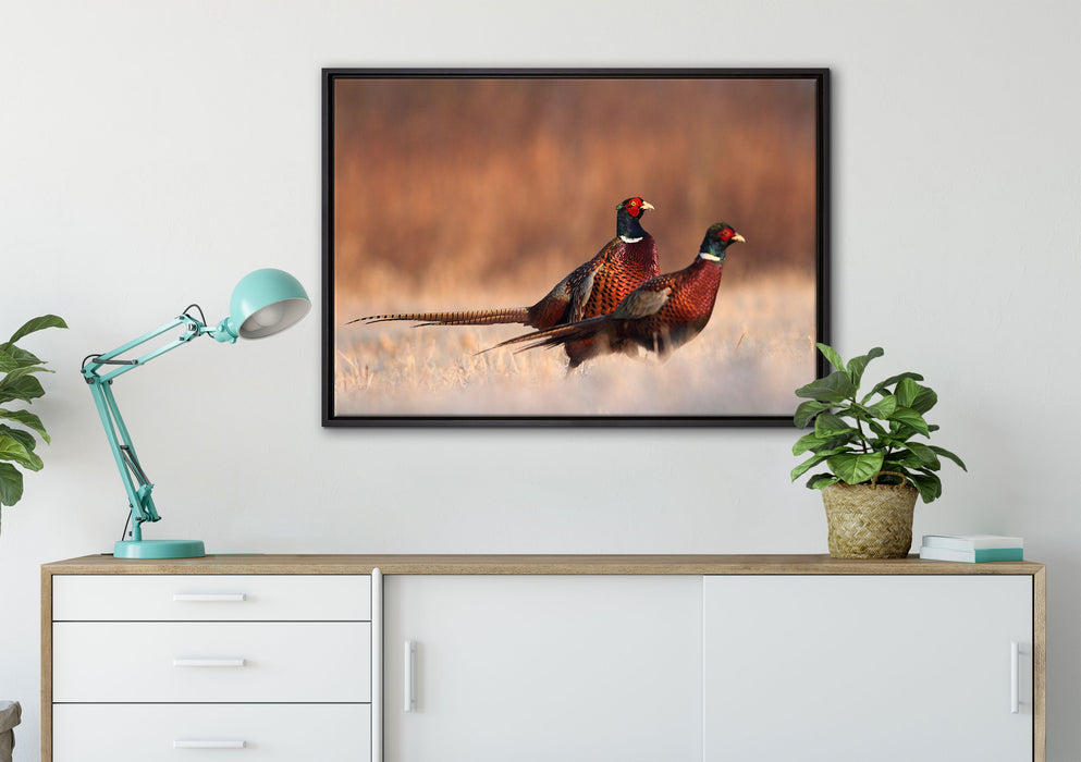 Stolzes Fasanenpärchen auf Leinwandbild gerahmt verschiedene Größen im Wohnzimmer