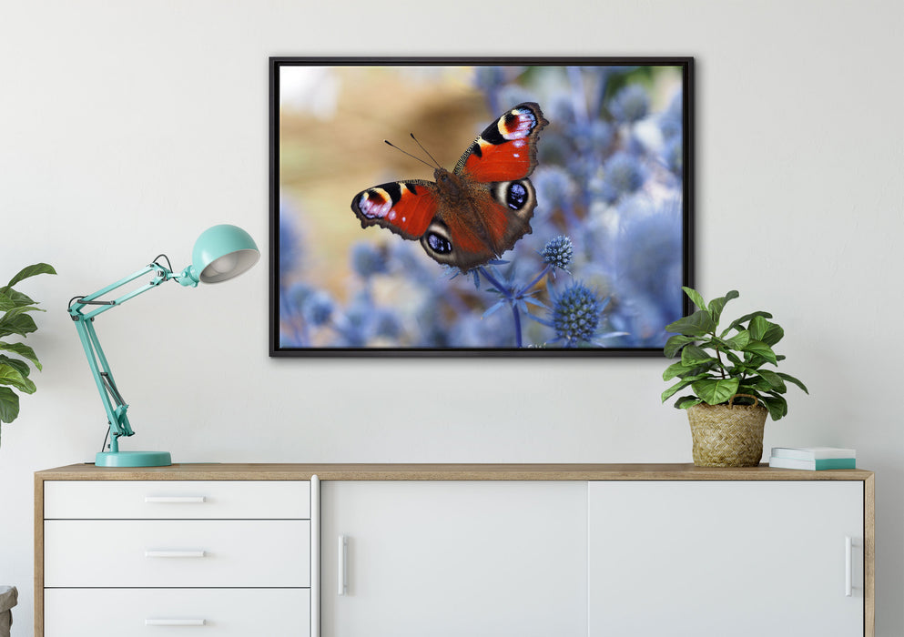 Schöner Schmetterling Pfauenauge auf Leinwandbild gerahmt verschiedene Größen im Wohnzimmer