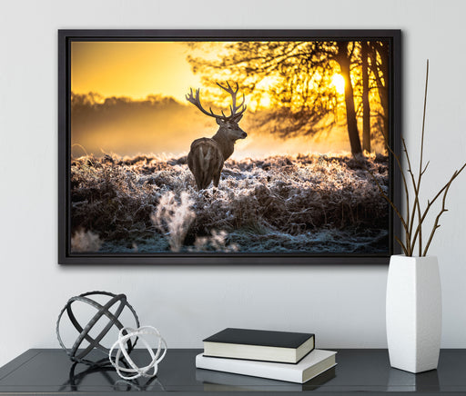 Hirsch im Wald auf Leinwandbild gerahmt mit Kirschblüten