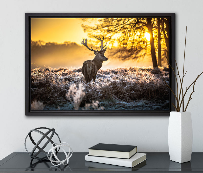 Hirsch im Wald auf Leinwandbild gerahmt mit Kirschblüten