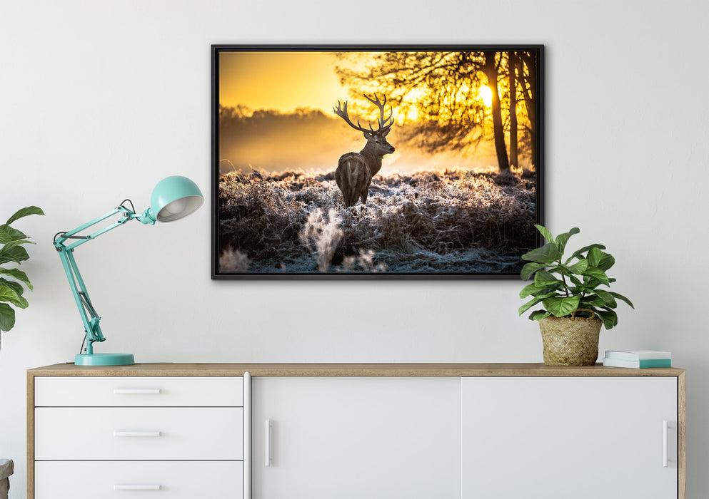 Hirsch im Wald auf Leinwandbild gerahmt verschiedene Größen im Wohnzimmer