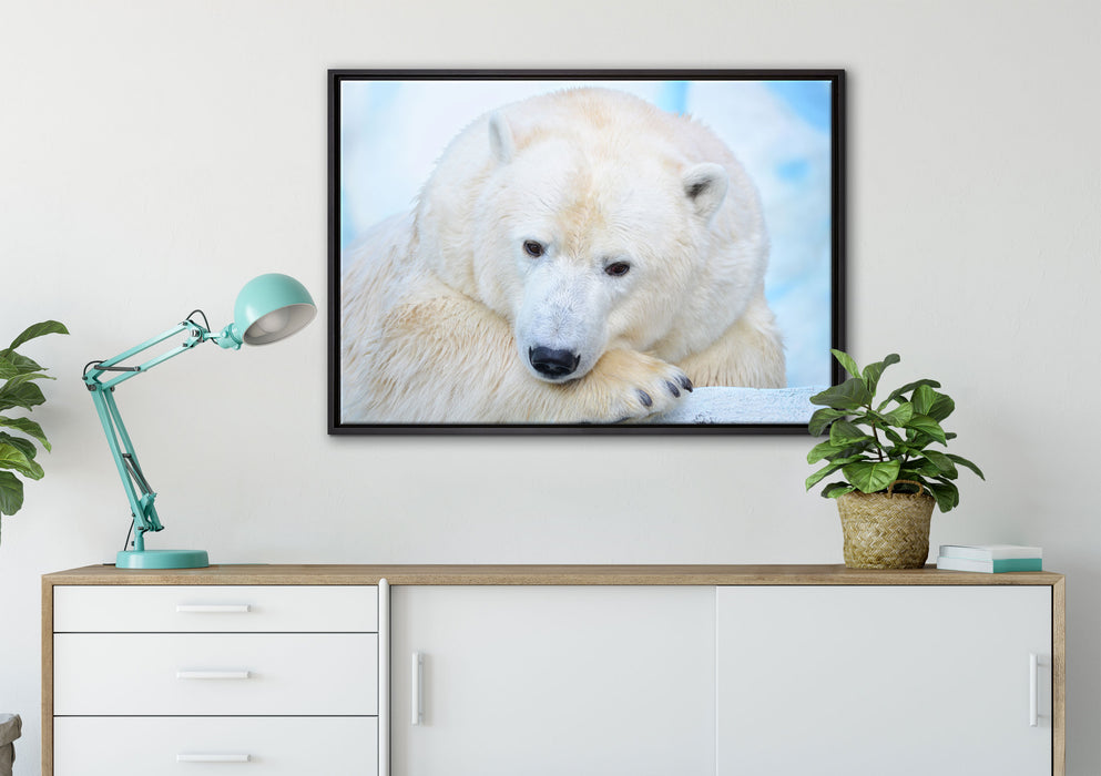 Nachdenklicher Eisbär auf Leinwandbild gerahmt verschiedene Größen im Wohnzimmer