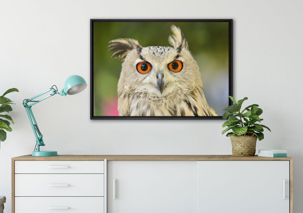 Eulen Kautz Orange Augen auf Leinwandbild gerahmt verschiedene Größen im Wohnzimmer