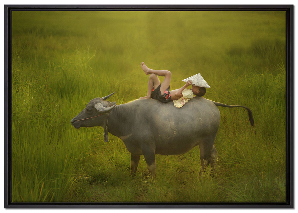 Wasserbüffel trägt Kind auf Leinwandbild gerahmt Größe 100x70