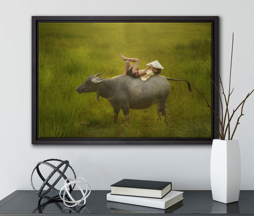 Wasserbüffel trägt Kind auf Leinwandbild gerahmt mit Kirschblüten