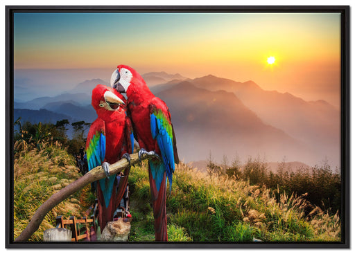 Papageien Pärchen auf Leinwandbild gerahmt Größe 100x70