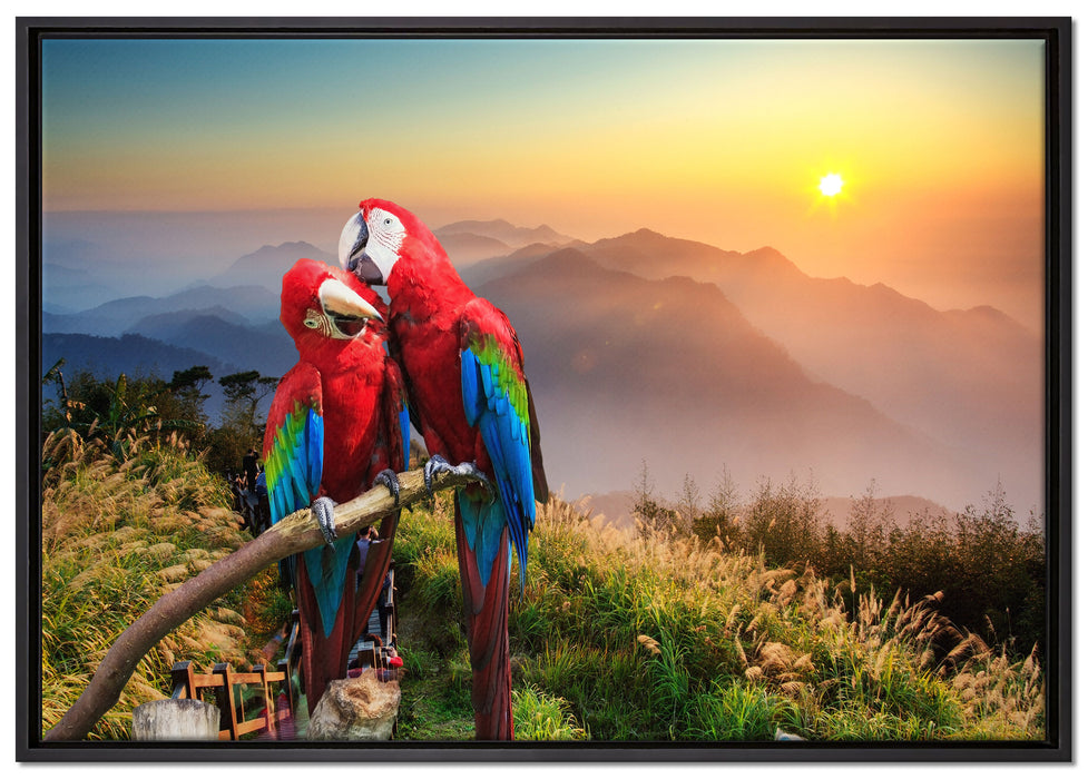 Papageien Pärchen auf Leinwandbild gerahmt Größe 100x70