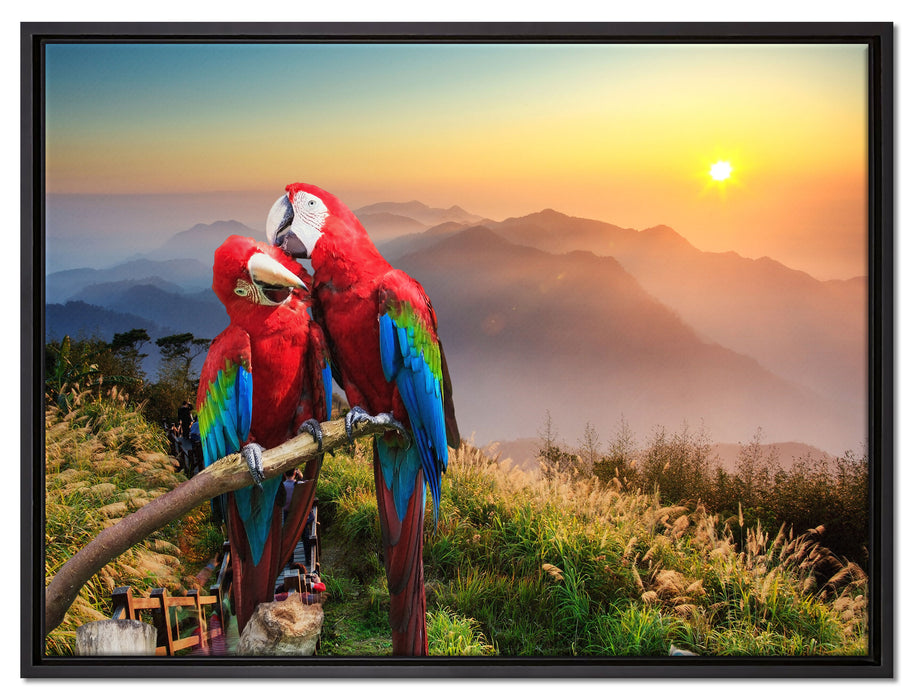 Papageien Pärchen auf Leinwandbild gerahmt Größe 80x60