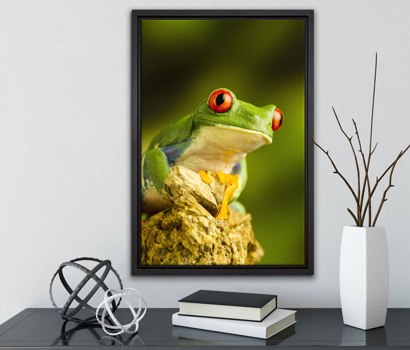 Grüner Rotaugen Frosch auf Leinwandbild gerahmt mit Kirschblüten
