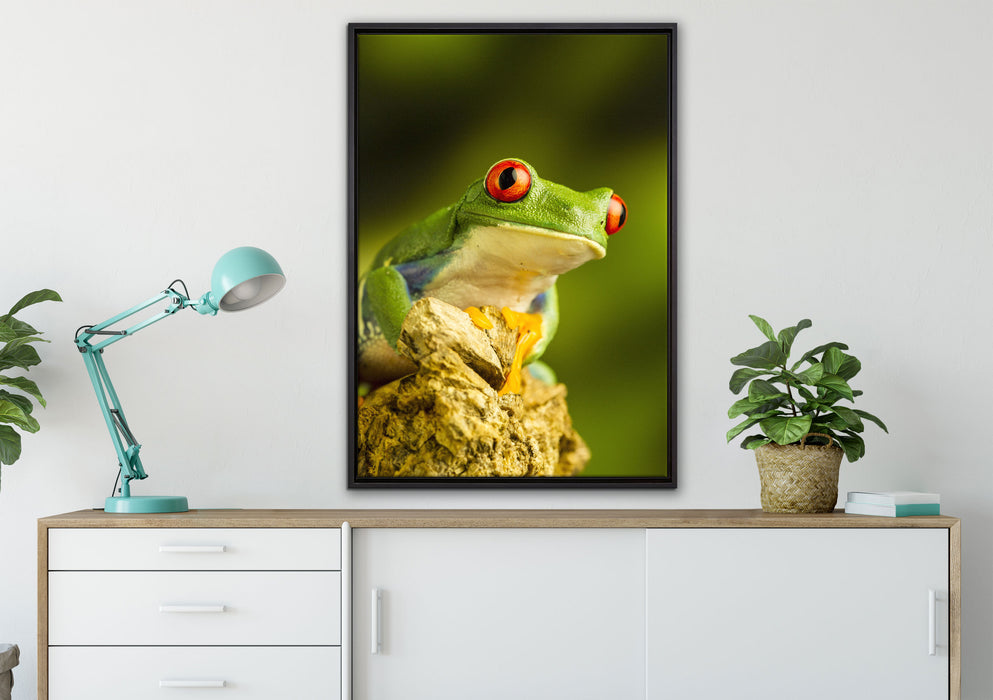 Grüner Rotaugen Frosch auf Leinwandbild gerahmt verschiedene Größen im Wohnzimmer