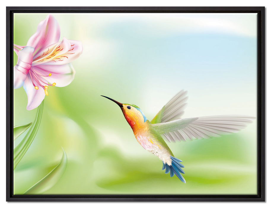 Wunderschöner Kolibri mit Blüte auf Leinwandbild gerahmt Größe 80x60