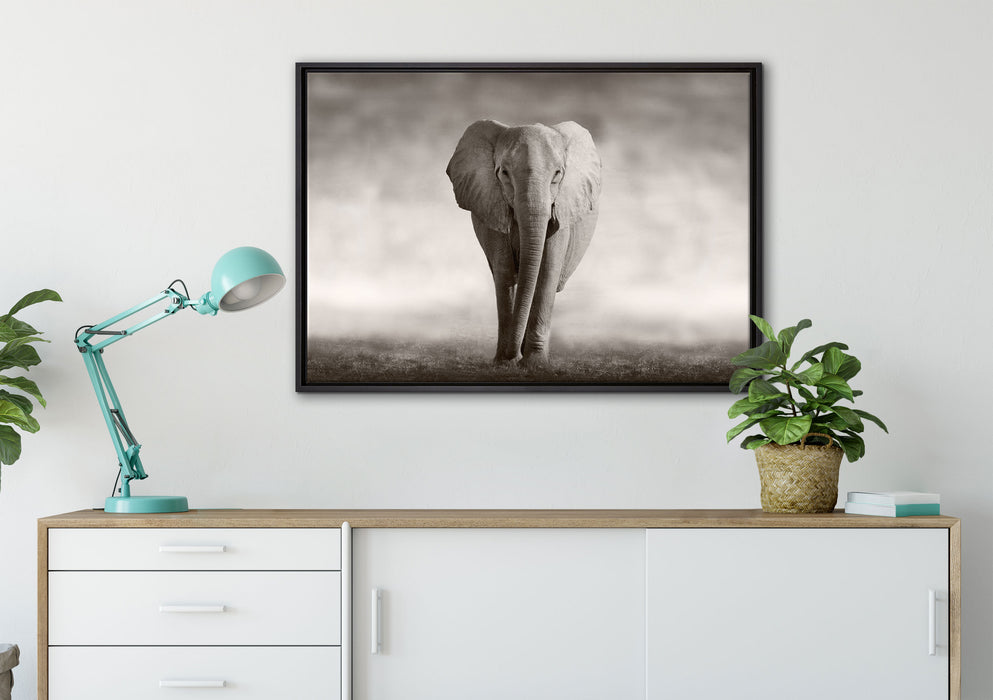 Einsamer Elefant auf Leinwandbild gerahmt verschiedene Größen im Wohnzimmer