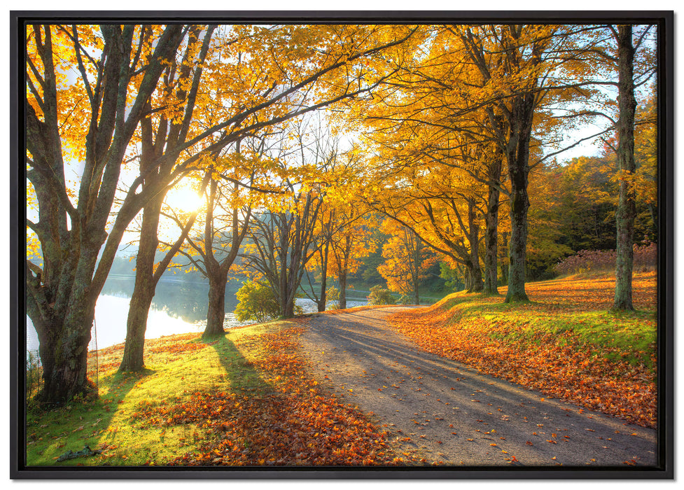 Sonniger Park am See auf Leinwandbild gerahmt Größe 100x70