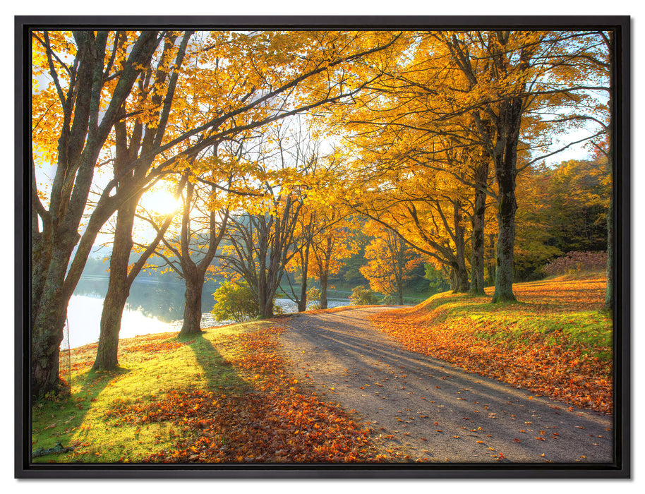 Sonniger Park am See auf Leinwandbild gerahmt Größe 80x60