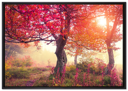 Traumhafte Herbstlandschaft auf Leinwandbild gerahmt Größe 100x70