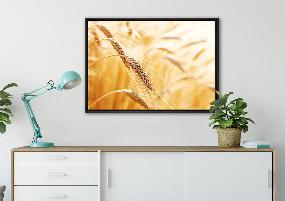 Weizen auf dem Feld auf Leinwandbild gerahmt verschiedene Größen im Wohnzimmer