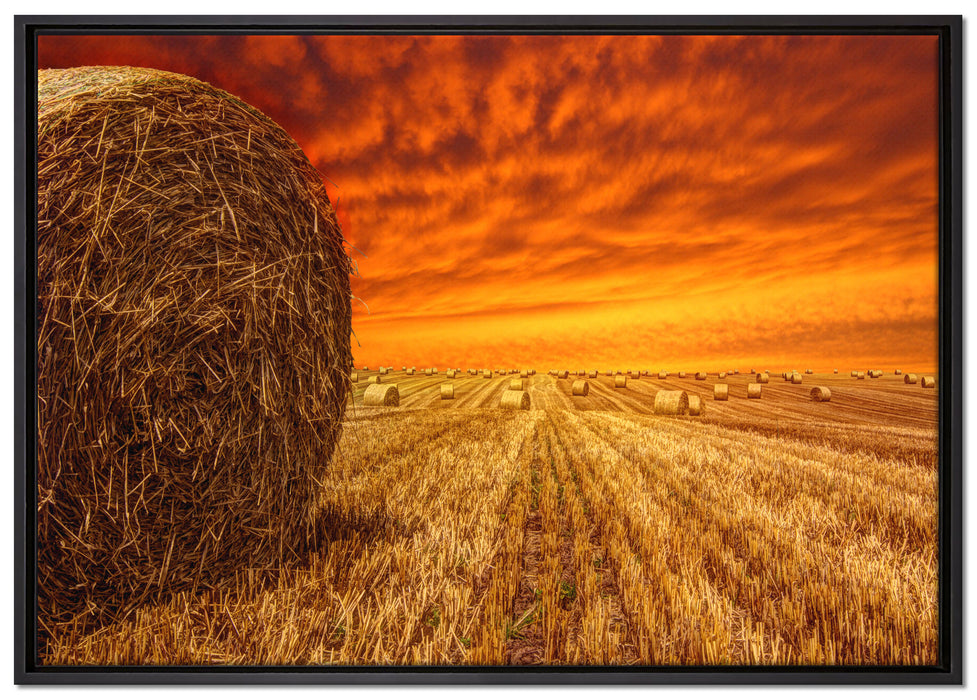 Feld im Sonnenuntergang auf Leinwandbild gerahmt Größe 100x70