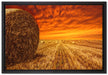 Feld im Sonnenuntergang auf Leinwandbild gerahmt Größe 60x40