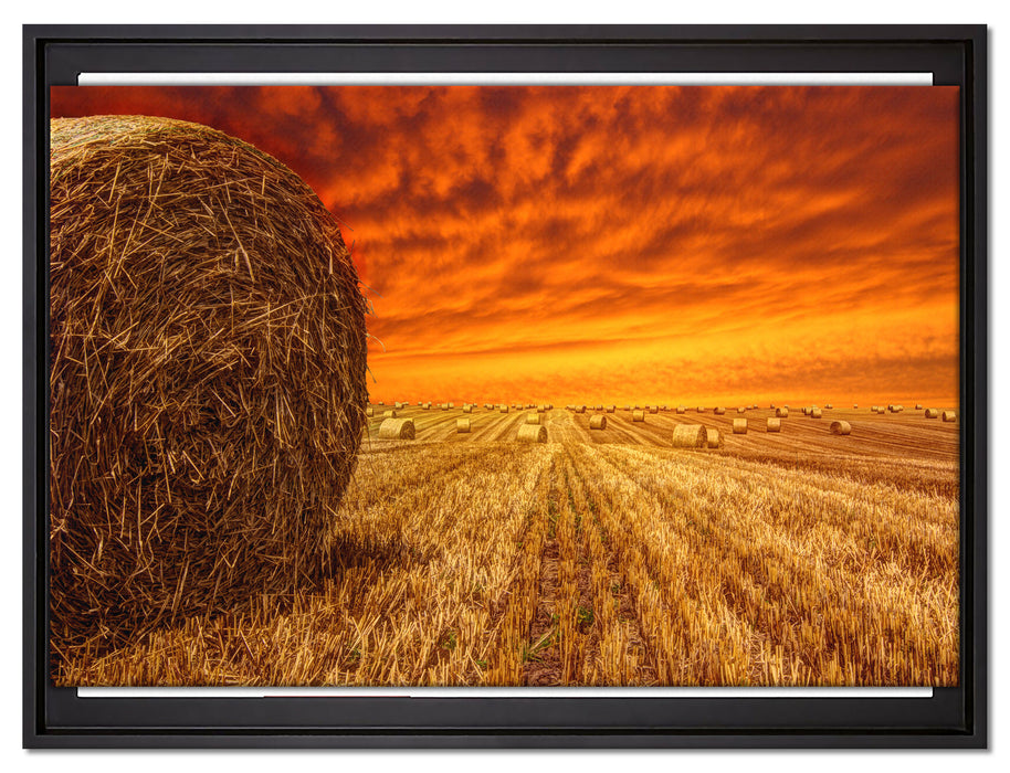Feld im Sonnenuntergang auf Leinwandbild gerahmt Größe 80x60