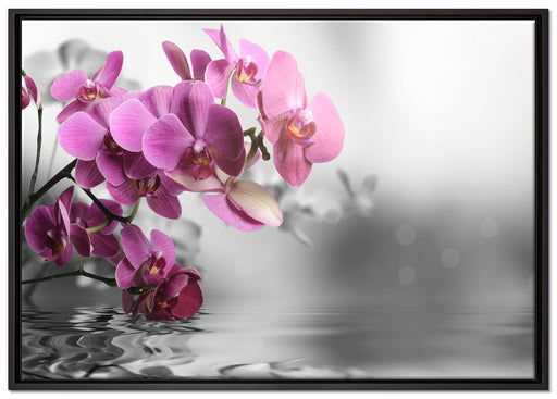 Orchideenblüten über Wasser auf Leinwandbild gerahmt Größe 100x70