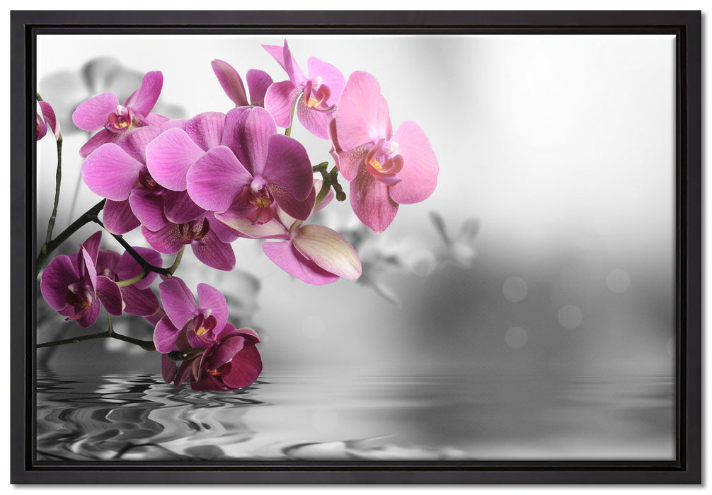Orchideenblüten über Wasser auf Leinwandbild gerahmt Größe 60x40