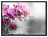 Orchideenblüten über Wasser auf Leinwandbild gerahmt Größe 80x60