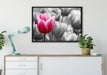 Tulpen im Morgentau auf Leinwandbild gerahmt verschiedene Größen im Wohnzimmer