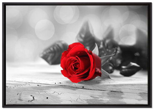 Rose auf Holztisch auf Leinwandbild gerahmt Größe 100x70