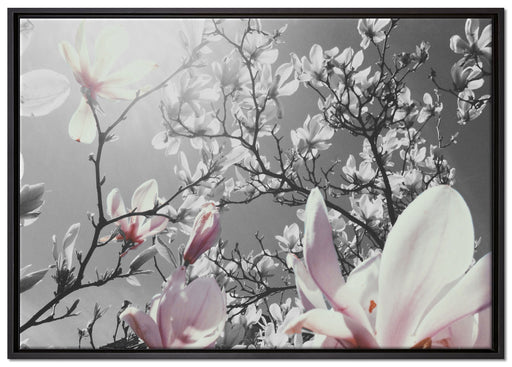 schöne Magnolie Blüten auf Leinwandbild gerahmt Größe 100x70