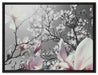 schöne Magnolie Blüten auf Leinwandbild gerahmt Größe 80x60