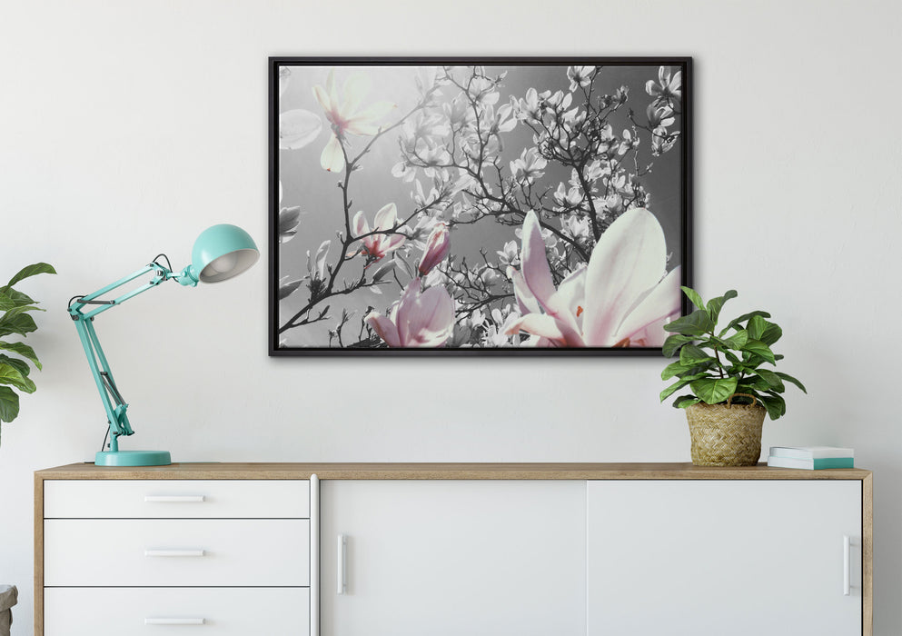schöne Magnolie Blüten auf Leinwandbild gerahmt verschiedene Größen im Wohnzimmer
