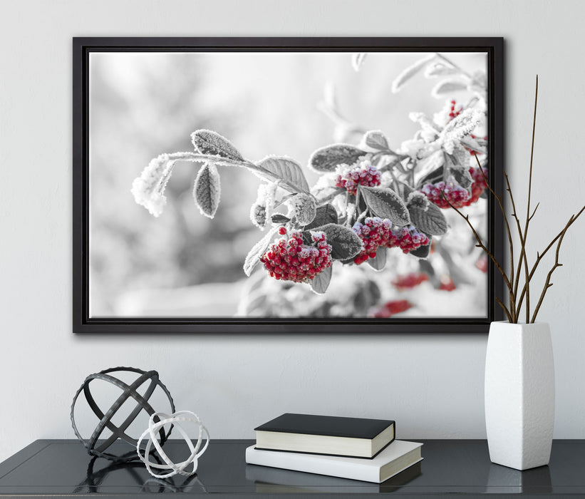 Vogelbeeren im frostigen Winter auf Leinwandbild gerahmt mit Kirschblüten