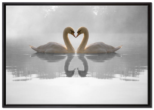 verliebte Schwäne auf See auf Leinwandbild gerahmt Größe 100x70