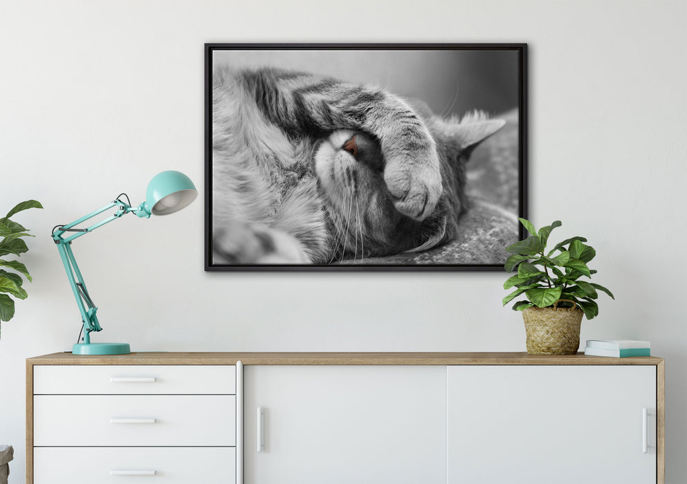 niedliche Katze beim schlafen auf Leinwandbild gerahmt verschiedene Größen im Wohnzimmer