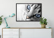 schöne Katzenaugen auf Leinwandbild gerahmt verschiedene Größen im Wohnzimmer