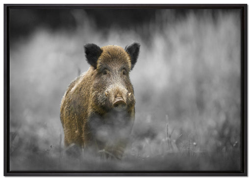einsames Wildschwein im Wald auf Leinwandbild gerahmt Größe 100x70
