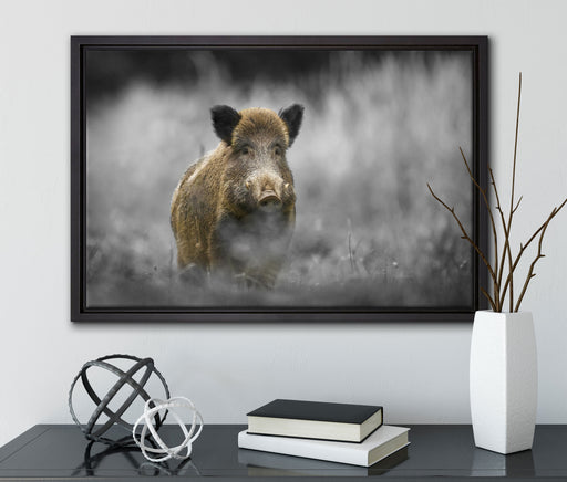 einsames Wildschwein im Wald auf Leinwandbild gerahmt mit Kirschblüten
