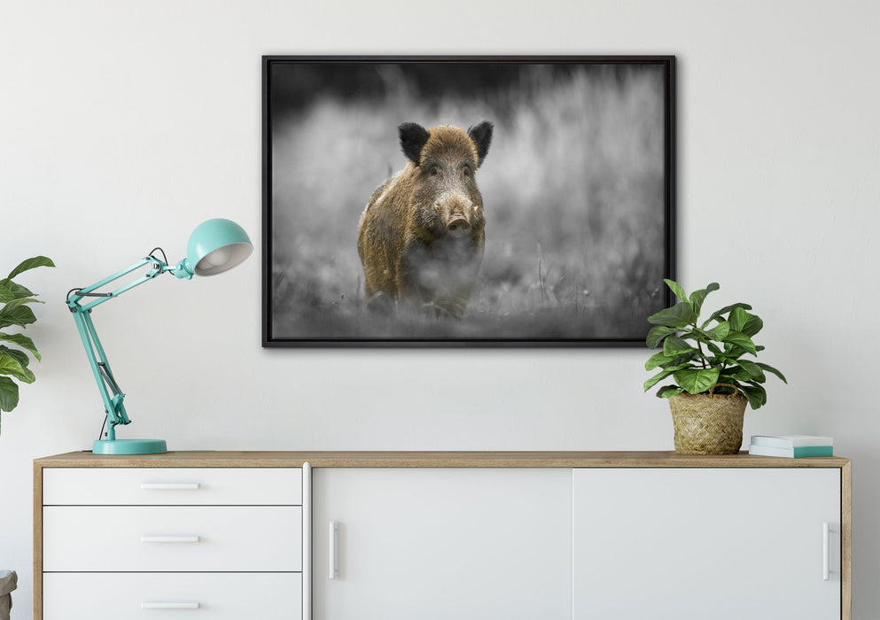 einsames Wildschwein im Wald auf Leinwandbild gerahmt verschiedene Größen im Wohnzimmer