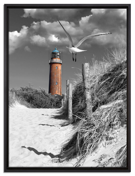 Leuchtturm mit Möwe an Strandweg auf Leinwandbild gerahmt Größe 80x60