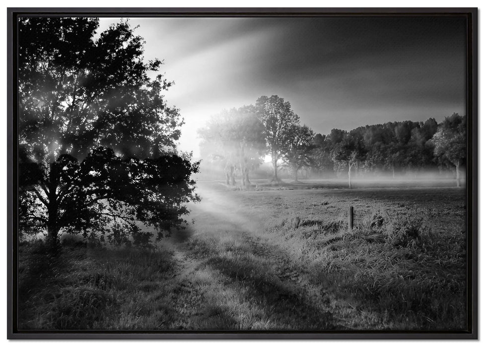 schöne Lichtung im Wald auf Leinwandbild gerahmt Größe 100x70