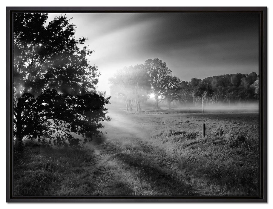 schöne Lichtung im Wald auf Leinwandbild gerahmt Größe 80x60