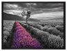 Lavendelfeld mit Baum auf Leinwandbild gerahmt Größe 80x60