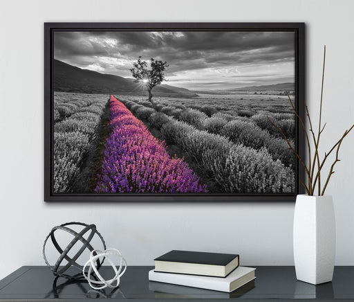 Lavendelfeld mit Baum auf Leinwandbild gerahmt mit Kirschblüten