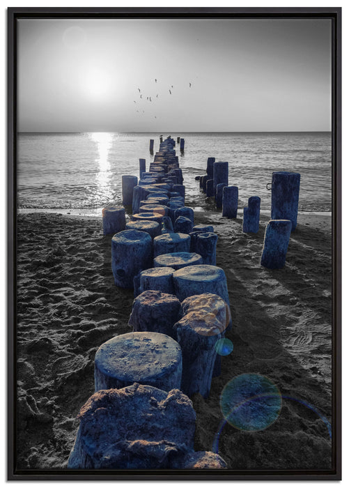 einzigartige Baumstümpfe am Meer auf Leinwandbild gerahmt Größe 100x70