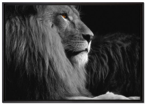 wunderschöner stolzer Löwe auf Leinwandbild gerahmt Größe 100x70