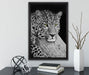 ruhender Leopard auf Leinwandbild gerahmt mit Kirschblüten