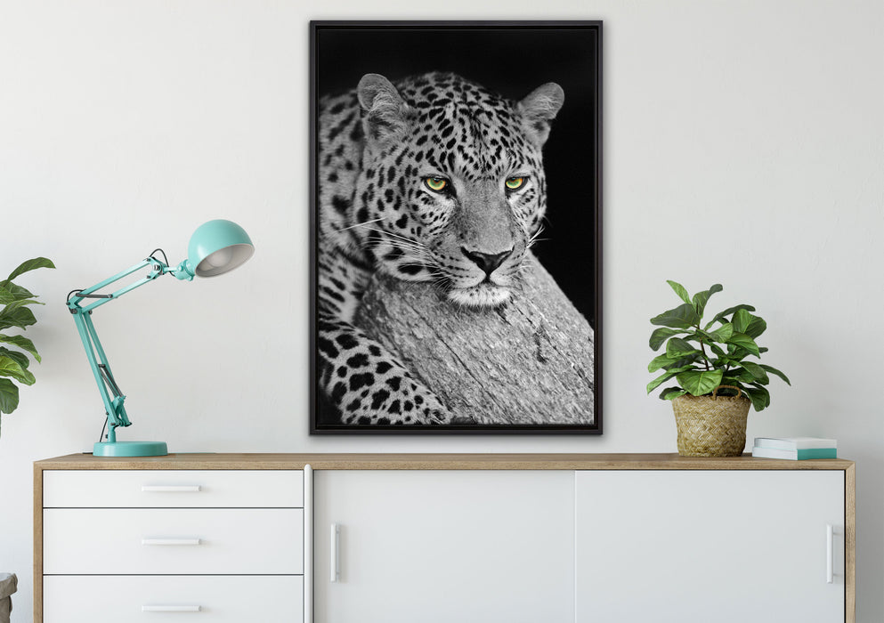 ruhender Leopard auf Leinwandbild gerahmt verschiedene Größen im Wohnzimmer
