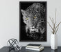 prächtig anmutiger Leopard auf Leinwandbild gerahmt mit Kirschblüten