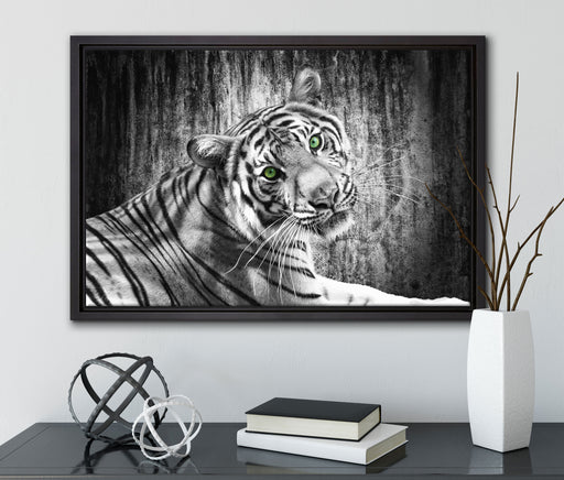 schöner neugieriger Tiger auf Leinwandbild gerahmt mit Kirschblüten