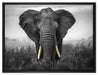 prachtvoller Elefant auf Leinwandbild gerahmt Größe 80x60